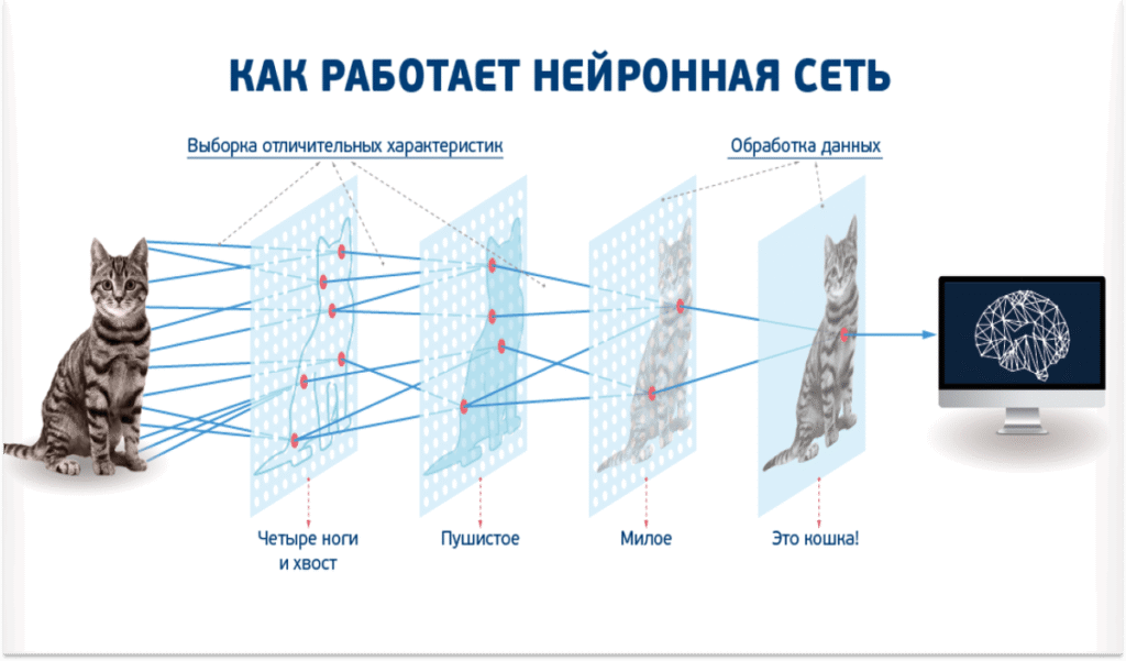 Введение: что такое нейросеть и зачем она нужна